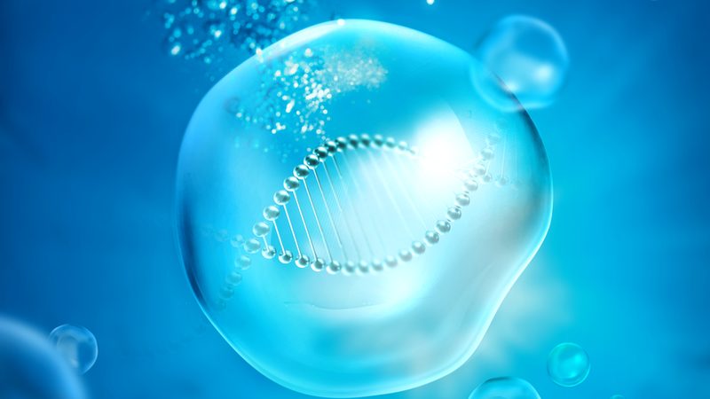 生物科技公司注册，这几点注意事项你不可不知