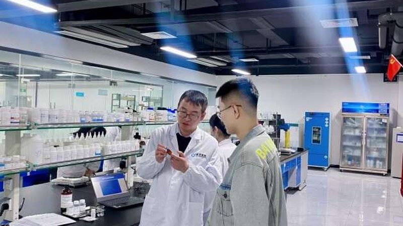 CDMO项目报价周期：揭秘从询价到报价的流程**