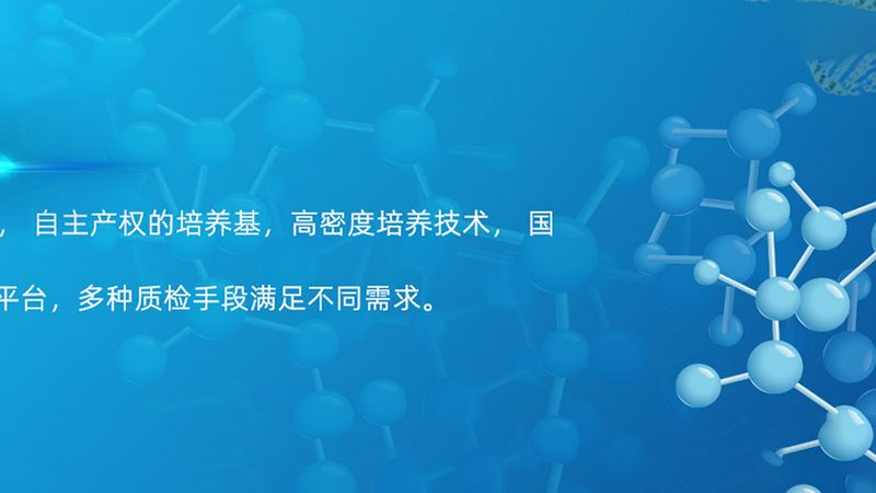 CDMO客户合作流程：揭秘制药外包的神秘面纱