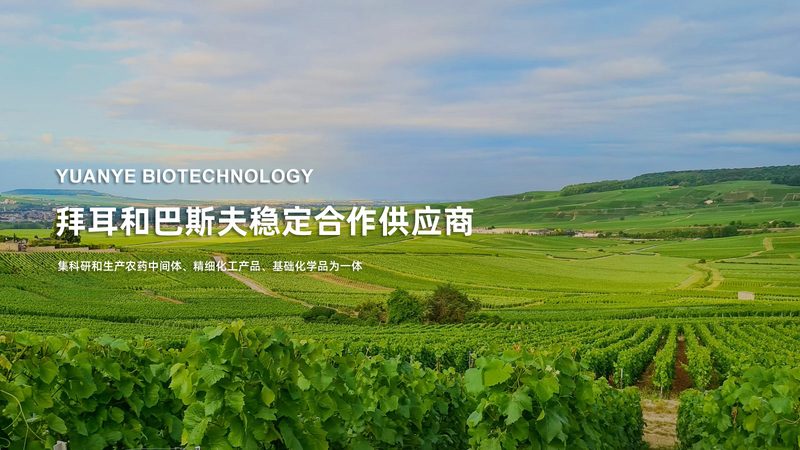 北京基因检测中心实验室标准：合规之路上的关键要素**