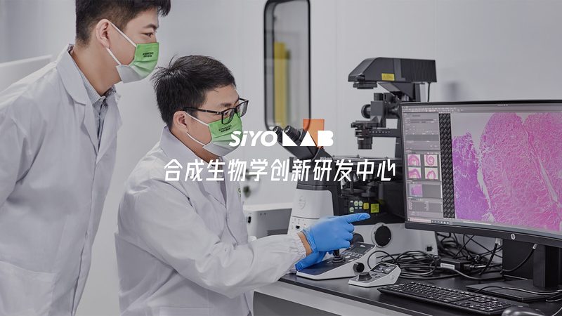 CDMO商业模式：揭秘其核心优势与选择要点
