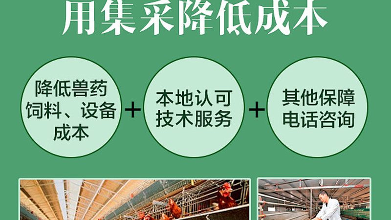 实验室耗材，助力科研之路：揭秘十大品牌背后的技术奥秘