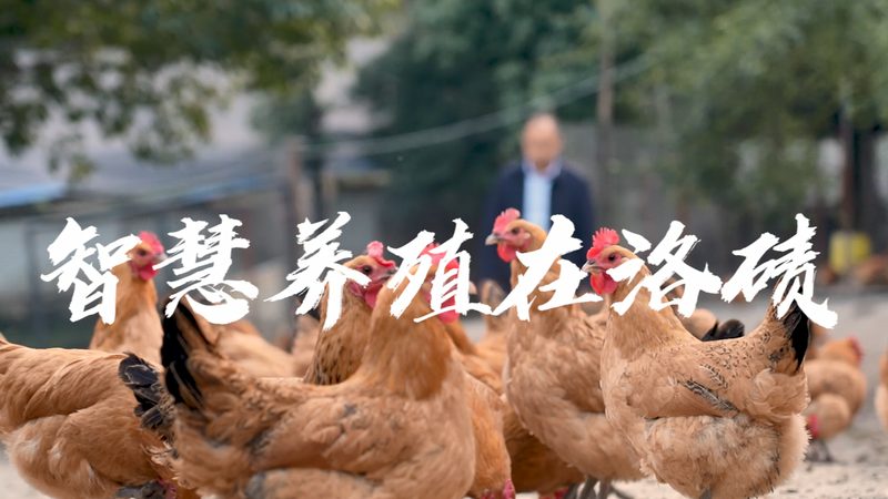 洗涤酶制剂加盟代理，如何选择可靠合作伙伴？**