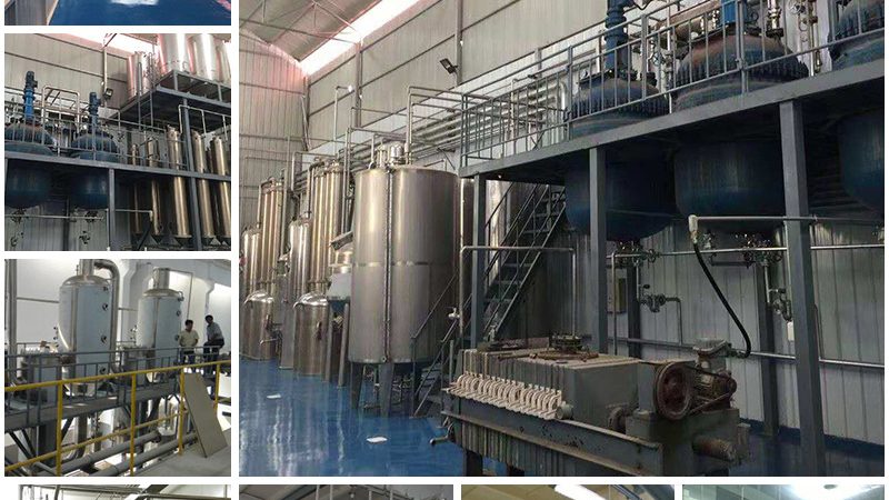 CDMO技术平台：揭秘其核心价值与选择要点