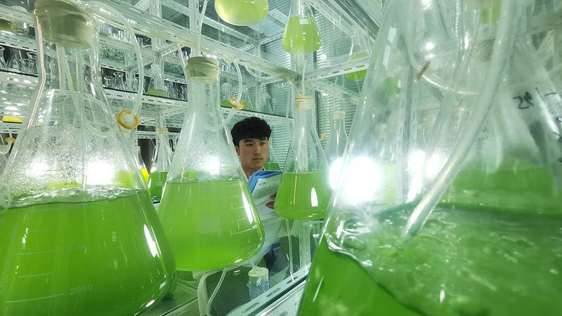 小分子CDMO：如何选择合适的生产厂家？**