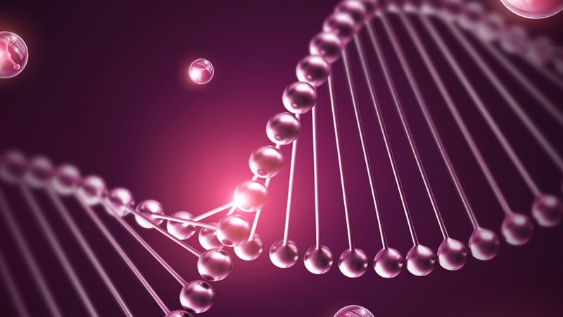 重组蛋白生物制品：广州生产商如何引领行业创新**