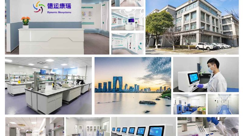DMEM培养基的使用步骤详解：从准备到培养