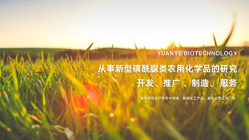 玻璃瓶还是塑料瓶？培养基储存容器选择揭秘**